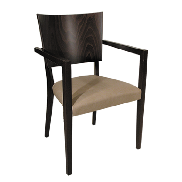 Horeca stoel model 10115